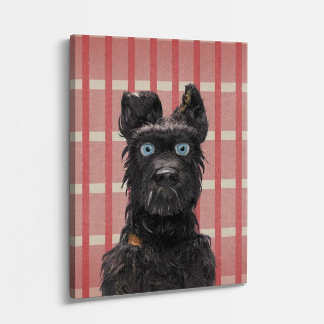 terrier escoces