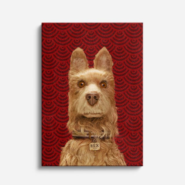 maestro terrier