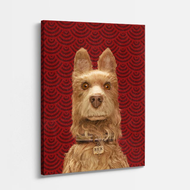maestro terrier