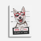 dog warning