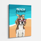 beach fashion dog