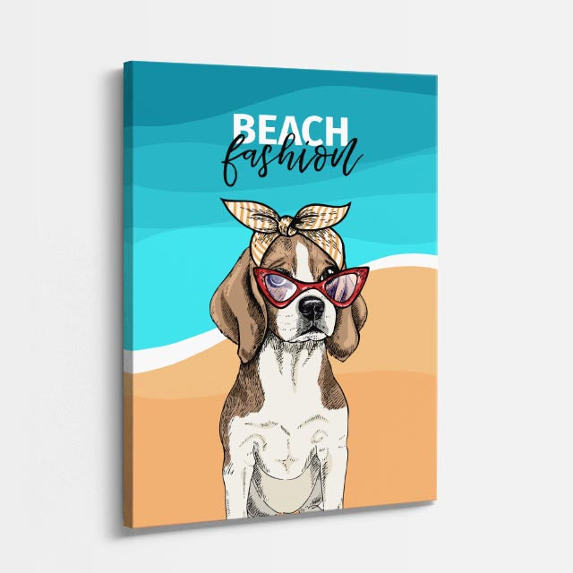 beach fashion dog