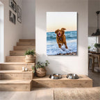 perro en la playa