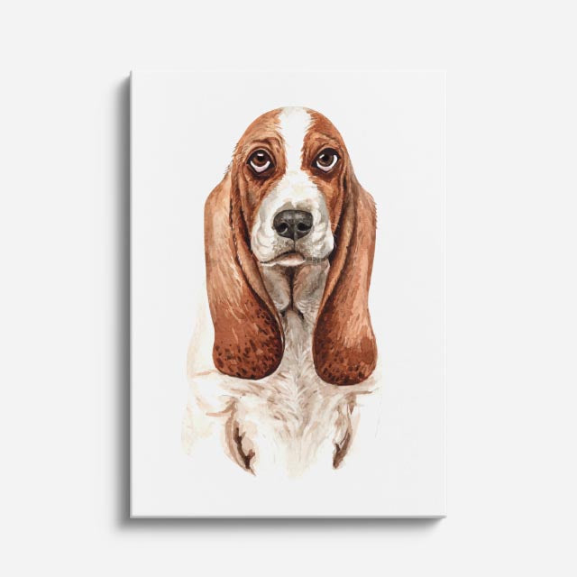 retrato basset