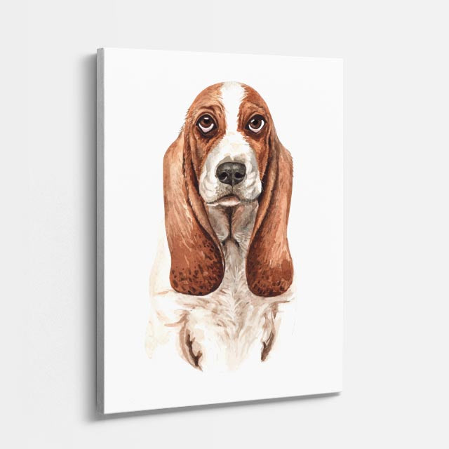 retrato basset