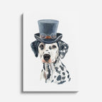 dalmata caballero