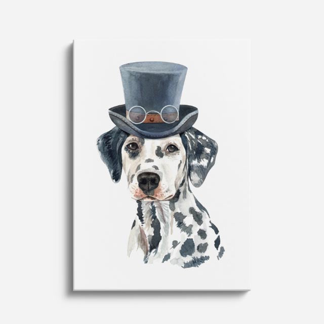 dalmata caballero