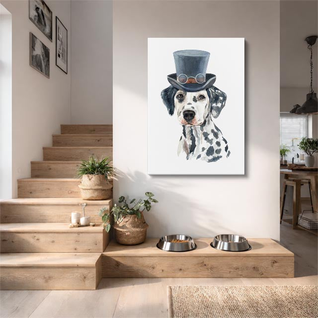 dalmata caballero
