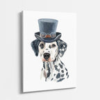 dalmata caballero