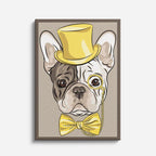bulldog de gala