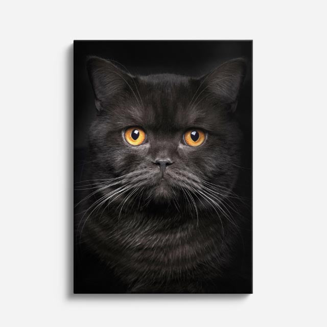 mirada de ónix