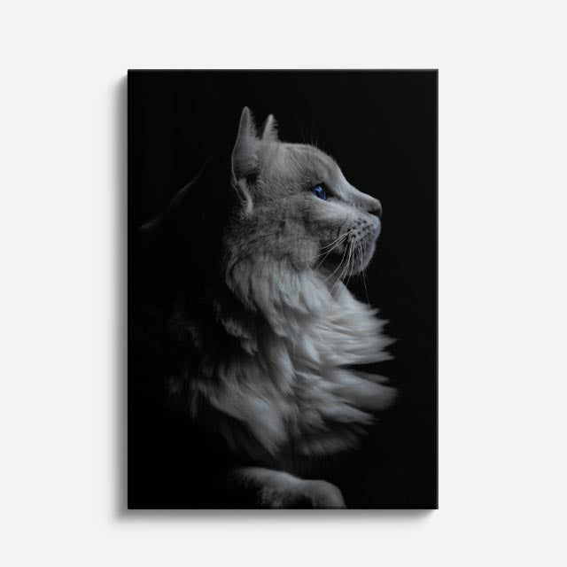 perfil de niebla