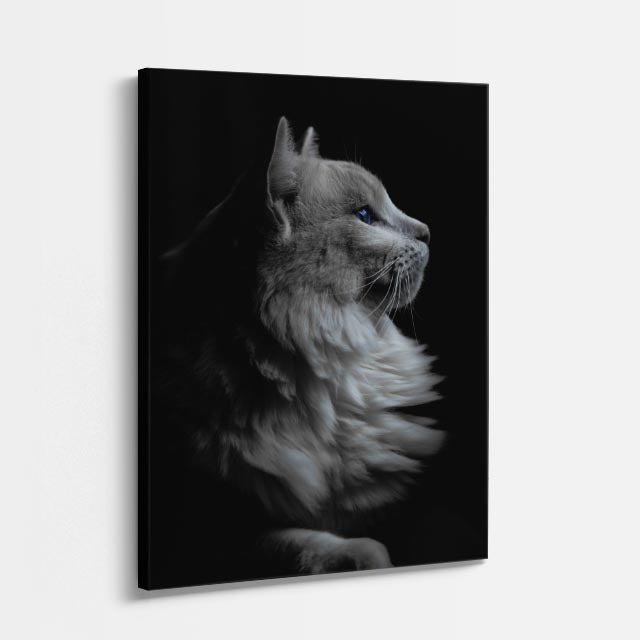 perfil de niebla