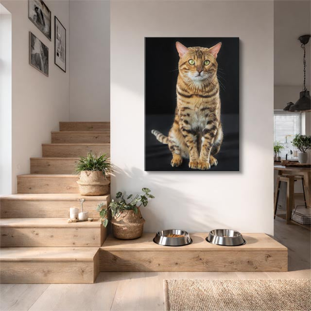 tigre de sala