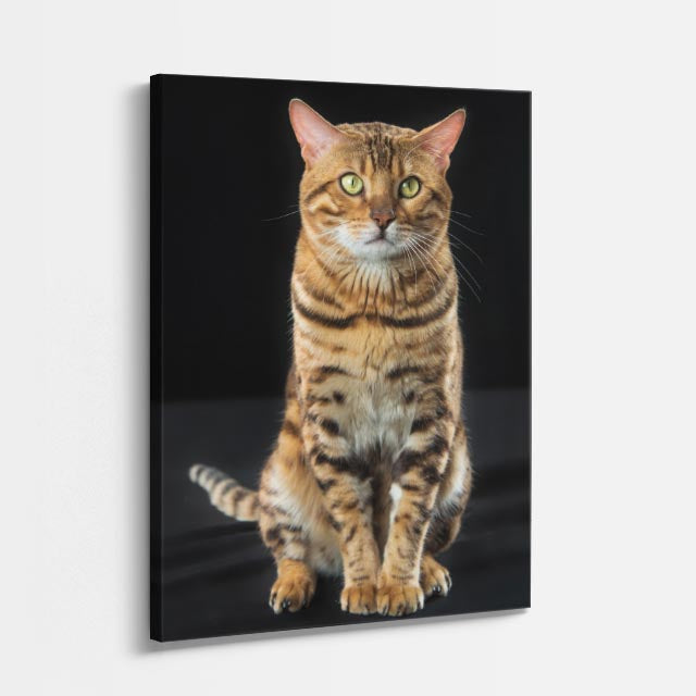 tigre de sala
