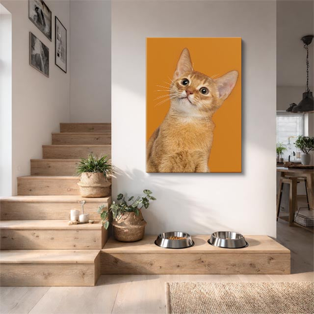 miel curiosa