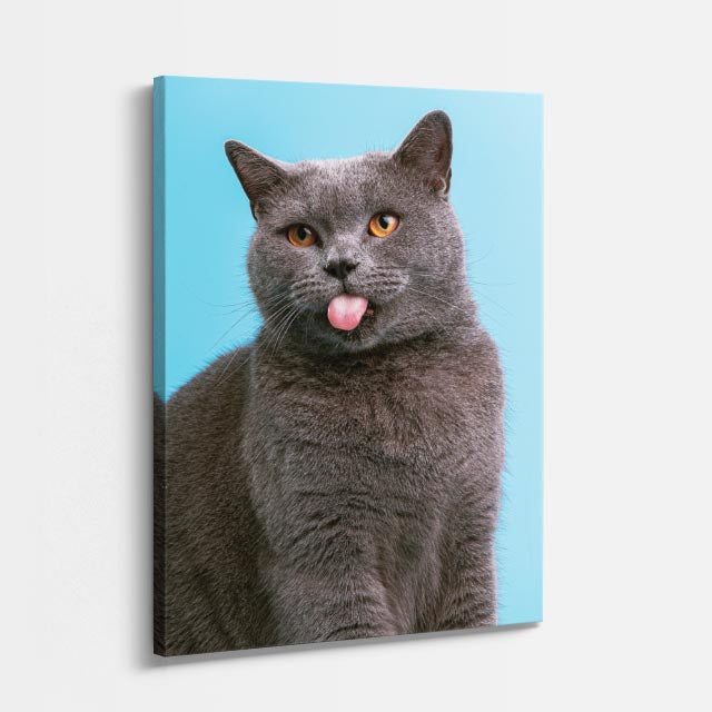 guiño gris