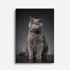 retrato gris