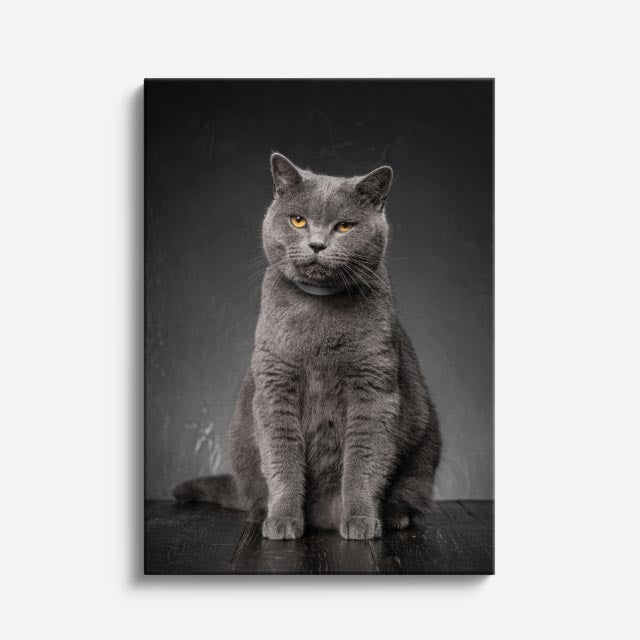 retrato gris