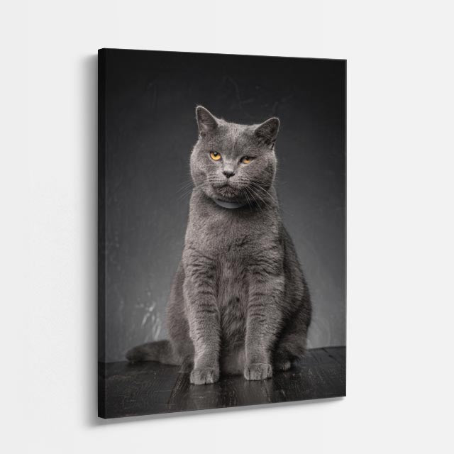 retrato gris