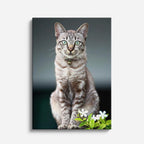 gato del jardín