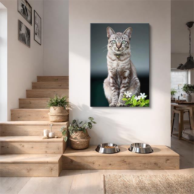 gato del jardín