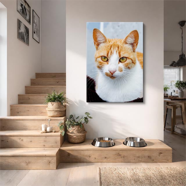 retrato naranja