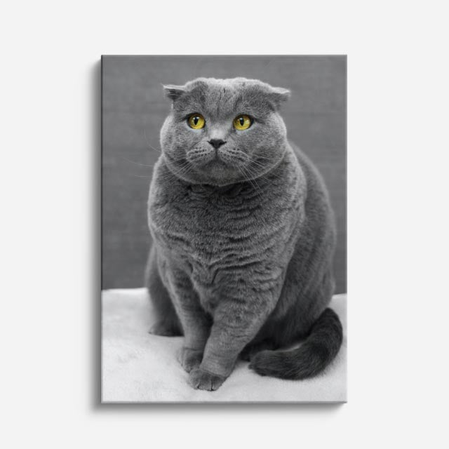 gran gris