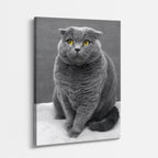 gran gris