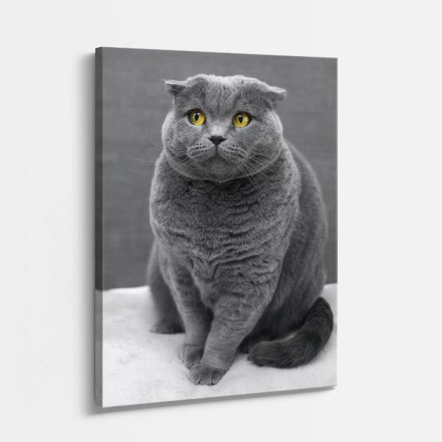 gran gris