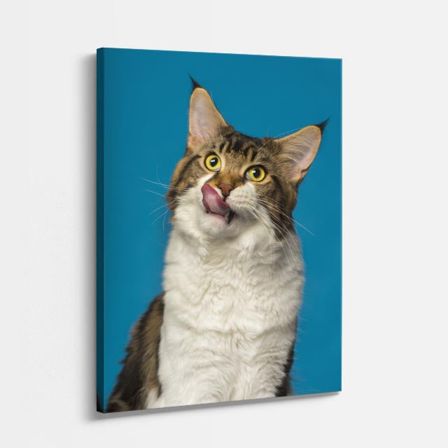 retrato del curioso