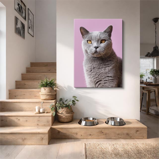 elegancia gris