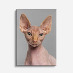 esfinge minimal