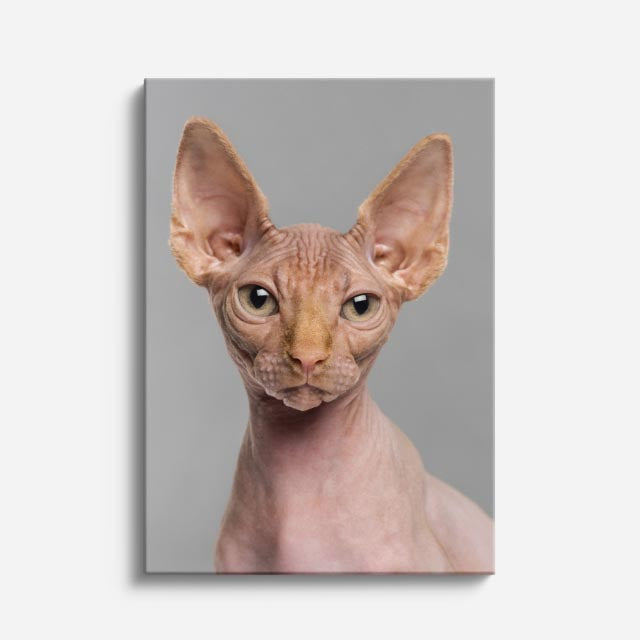 esfinge minimal