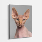 esfinge minimal