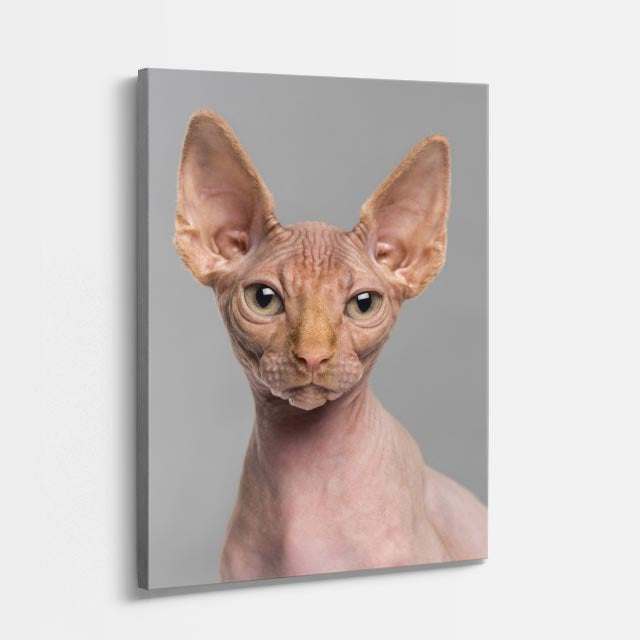 esfinge minimal