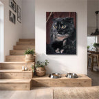 sombra curiosa