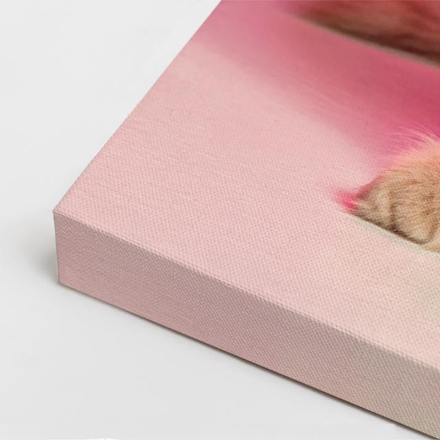 melocotón rosado