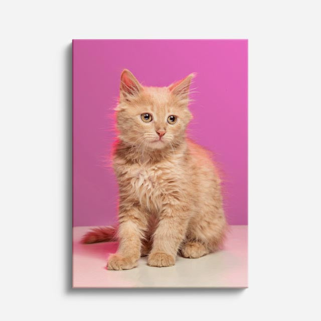 melocotón rosado