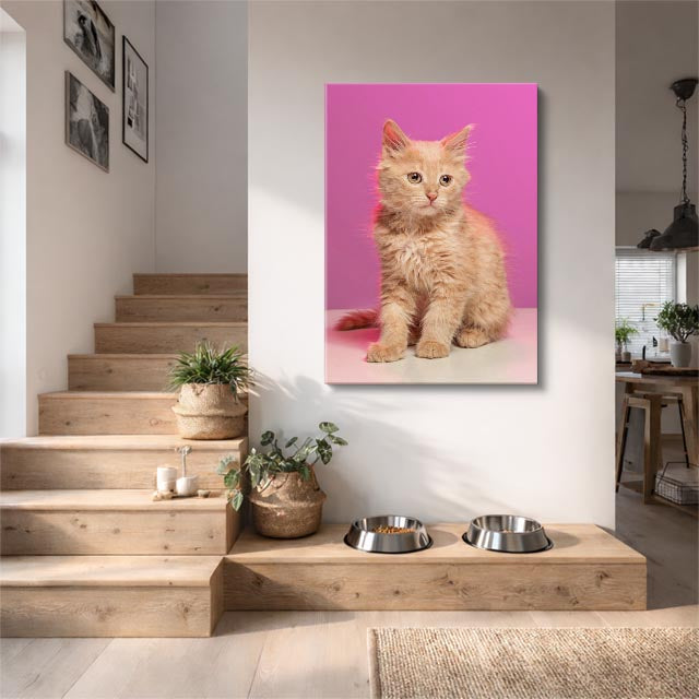 melocotón rosado