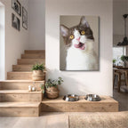 asombro felino