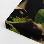 cuadro canvas reptiles anfibios serpiente esmeralda enroscada horizontal