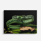 cuadro canvas reptiles anfibios serpiente esmeralda enroscada horizontal