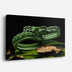 cuadro canvas reptiles anfibios serpiente esmeralda enroscada horizontal