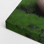 cuadro canvas reptiles anfibios cobra despertando en musgo horizontal