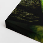 cuadro canvas reptiles anfibios boa verde brillante horizontal