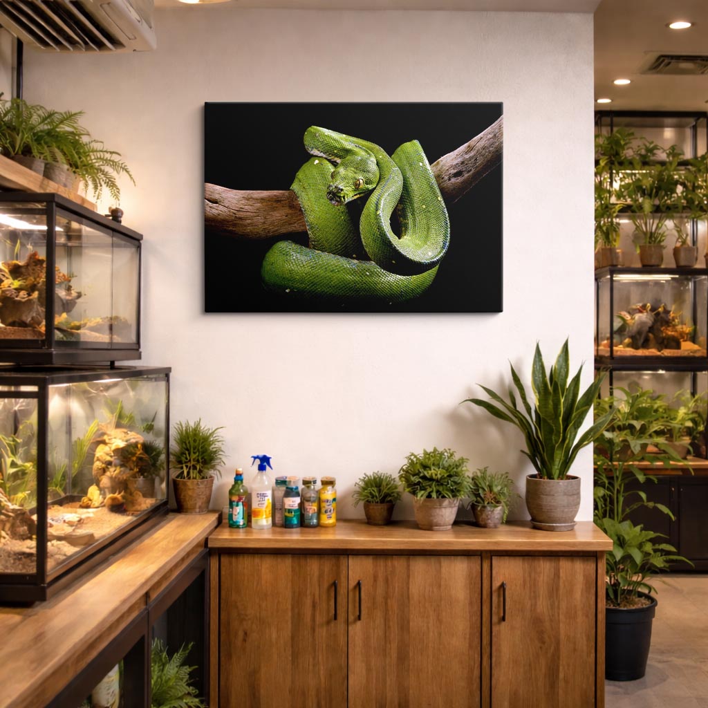 cuadro canvas reptiles anfibios serpiente de rama verde horizontal