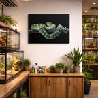 cuadro canvas reptiles anfibios víbora arborícola patrón horizontal
