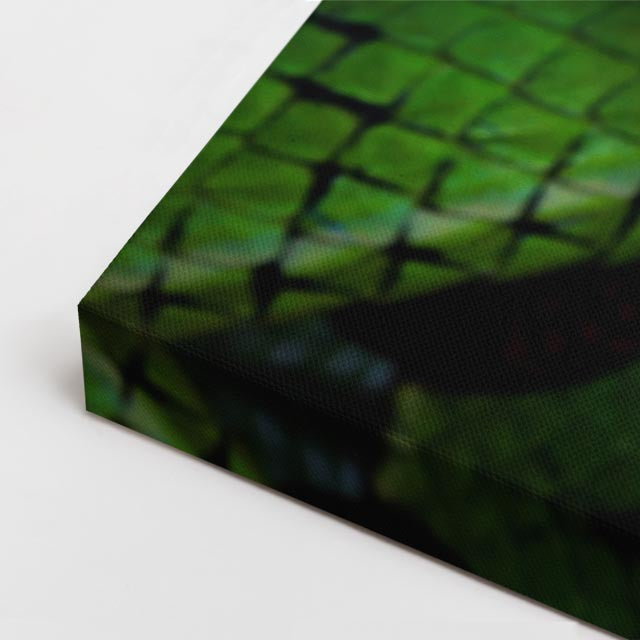 cuadro canvas reptiles anfibios serpiente verde radiante horizontal