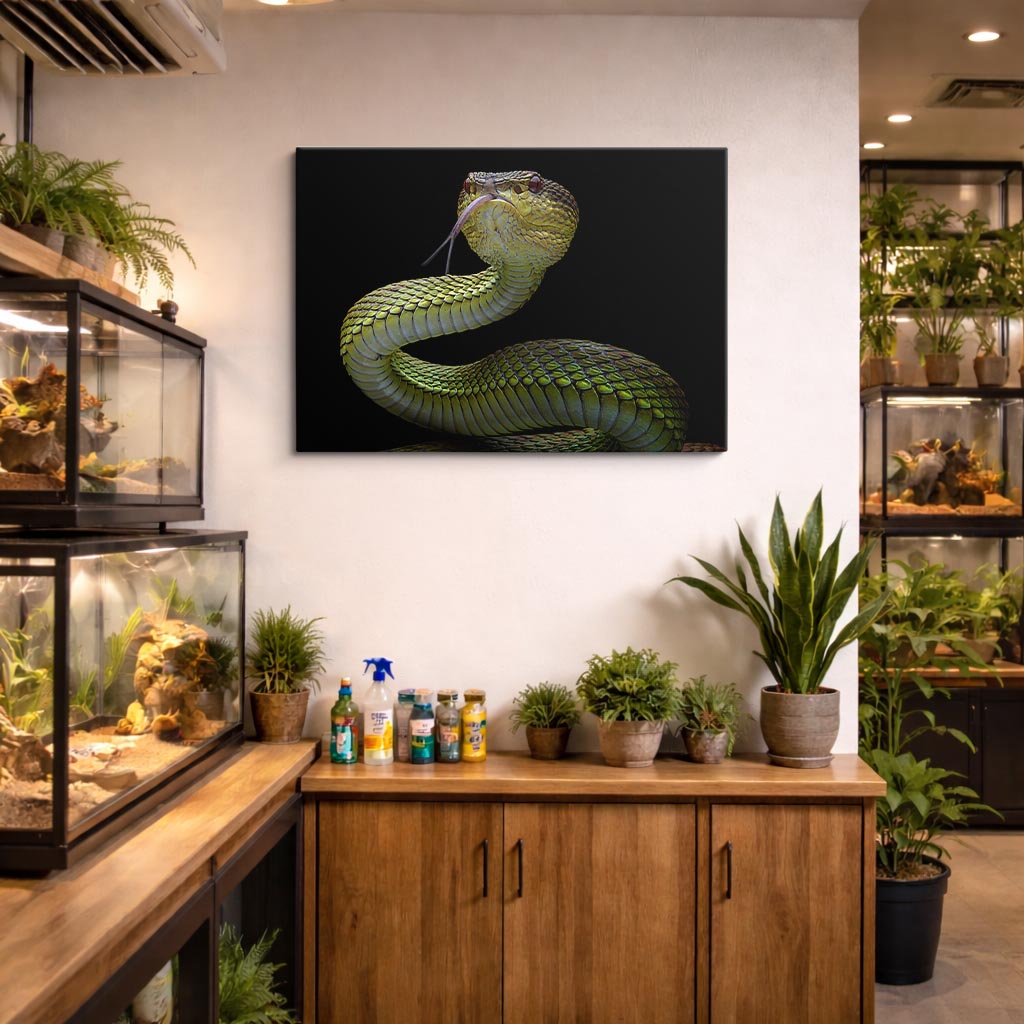 cuadro canvas reptiles anfibios serpiente verde hipnótica horizontal
